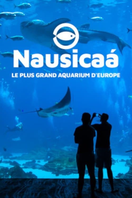 Nausicaa: The Largest Aquarium in Europe