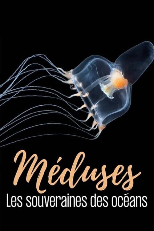 Méduses les souveraines des océans