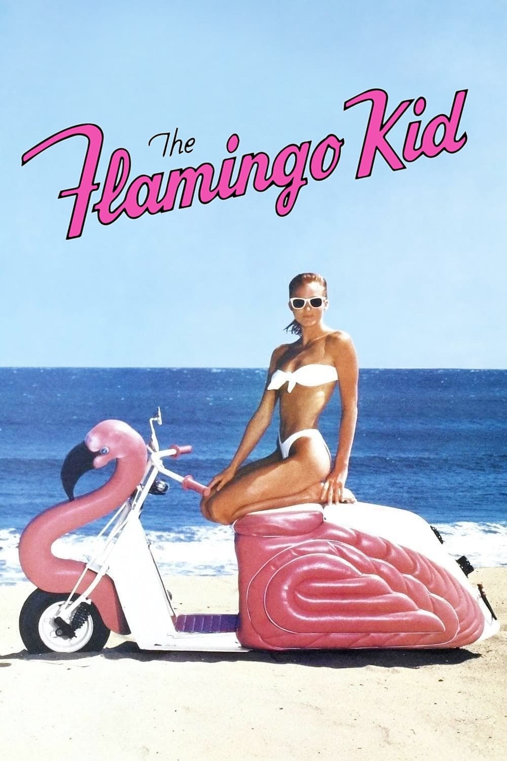 The Flamingo Kid